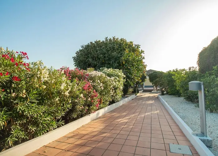Royal Playa Suite And Apartament -Private Parking- Self Chek Out